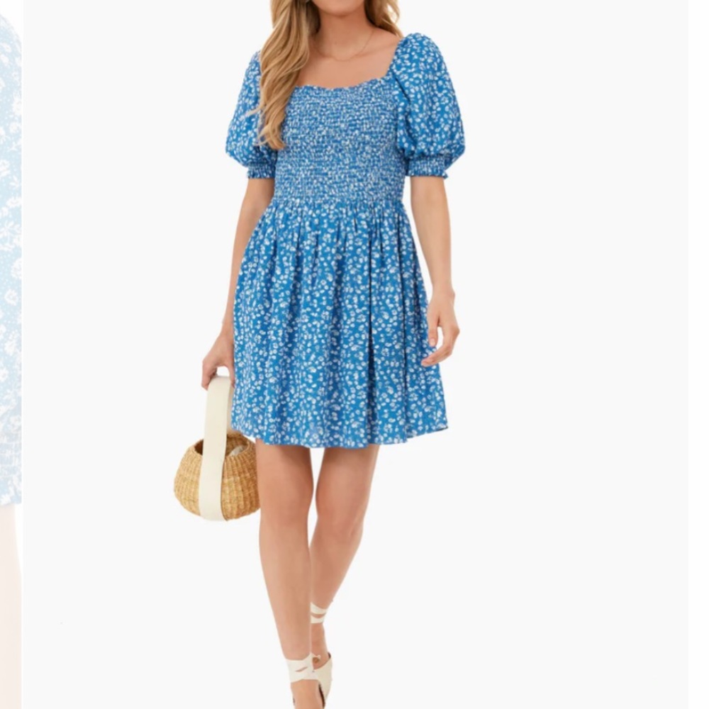 NWT Tuckernuck Hyacinth House Blue Ditsy Floral Pai Mini Dress (M)